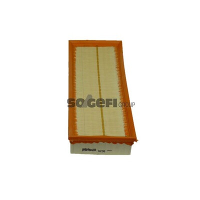 Filtro aria PURFLUX A238