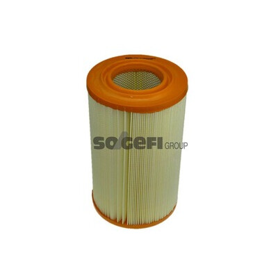 Filtro aria PURFLUX A251