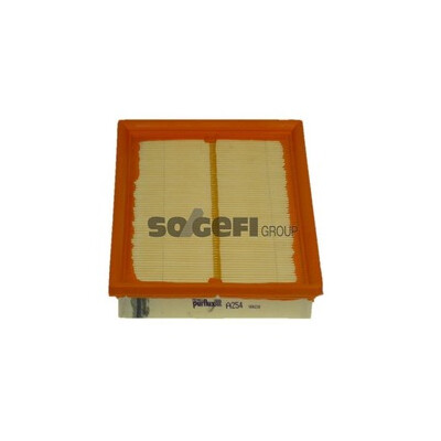 Filtro aria PURFLUX A254