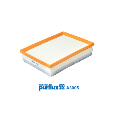 Filtro aria PURFLUX A3005