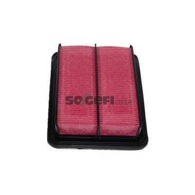 Filtro aria PURFLUX A302