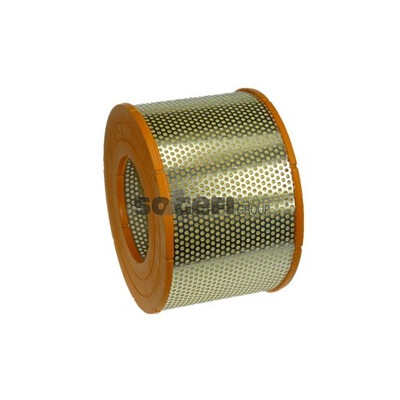 Filtro aria PURFLUX A329