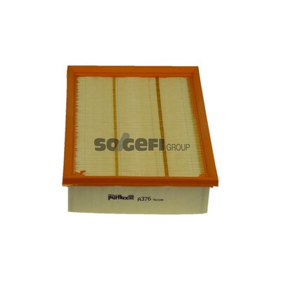 Filtro aria PURFLUX A376