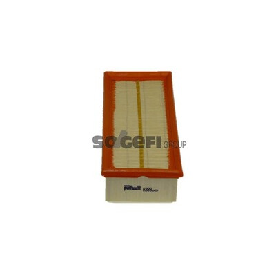 Filtro aria PURFLUX A389
