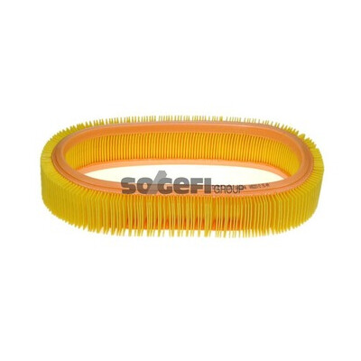 Filtro aria PURFLUX A624