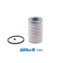 Filtro carburante PURFLUX C491