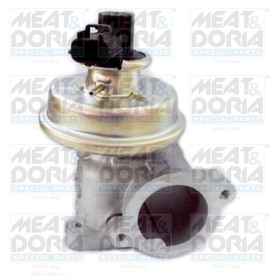 Valvola ricircolo gas scarico-EGR