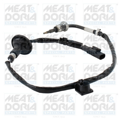 Sensore, Temperatura gas scarico