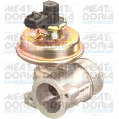 Valvola ricircolo gas scarico-EGR