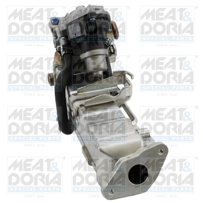 Modulo EGR