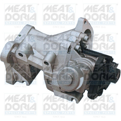 Valvola ricircolo gas scarico-EGR