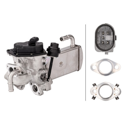 Modulo EGR