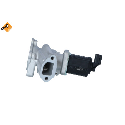 Valvola ricircolo gas scarico-EGR