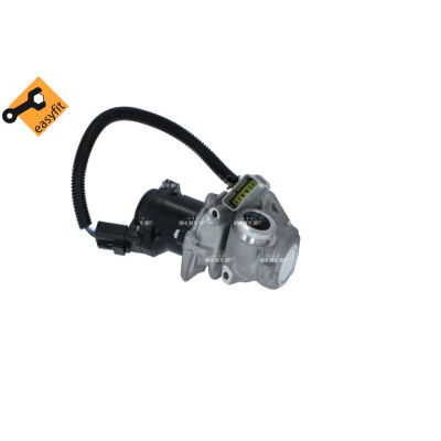Valvola ricircolo gas scarico-EGR