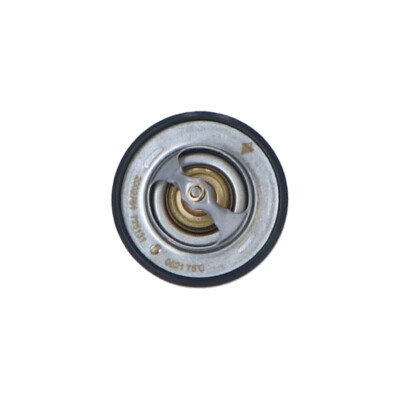 Termostato, Refrigerante