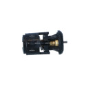 Termostato, refrigerante NRF 725133