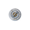 Termostato, Refrigerante