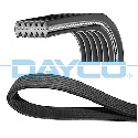 Cinghia trapezoidale scanalata DAYCO 6 DPK 1352