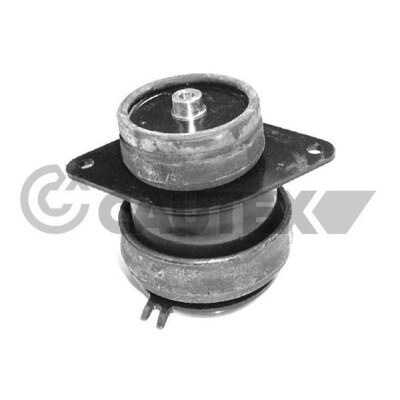 Staffa, motore CAUTEX/FACET 10471