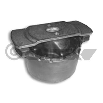 Sospensione, corpo assale CAUTEX/FACET 20533