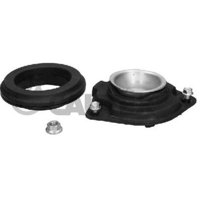 Kit di riparazione, supporto ammortizzatore per colonna CAUTEX/FACET 21321