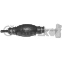 Pompa, pre-pompaggio carburante CAUTEX/FACET 30337