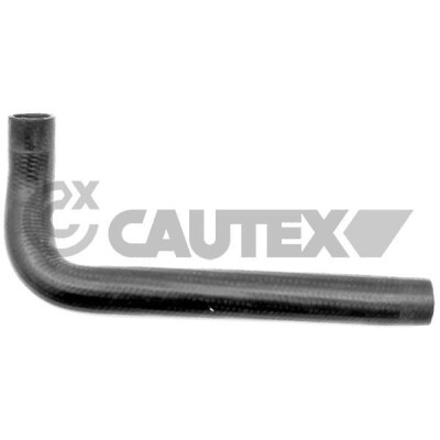 Tubo radiatore Cautex/Facet 31081