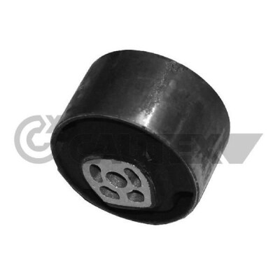 Staffa, motore CAUTEX/FACET 31512