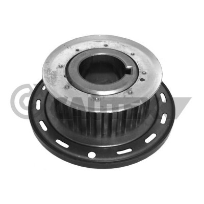 Ingranaggio albero motore CAUTEX/FACET 31720