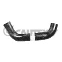 Tubo radiatore Cautex/Facet 36100