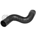 Tubo flessibile dell&#39;aria di sovralimentazione CAUTEX/FACET 36707