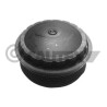 Coperchio, alloggiamento filtro olio CAUTEX/FACET 81131