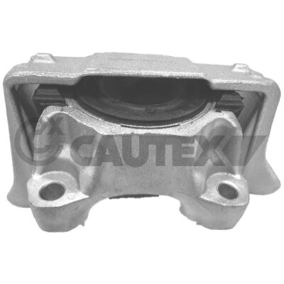 Staffa, motore CAUTEX/FACET 81264