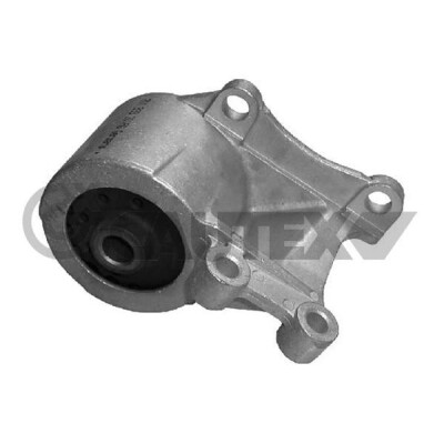 Sospensione, cambio manuale CAUTEX/FACET 460160