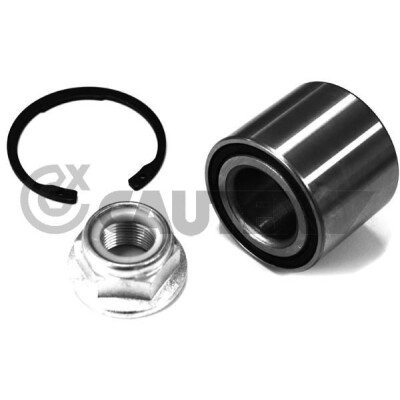 Kit cuscinetto ruota CAUTEX/FACET 462601
