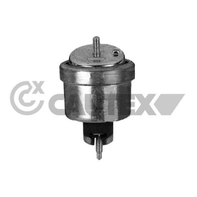 Staffa, motore CAUTEX/FACET 480493