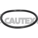 Guarnizione, termostato CAUTEX/FACET 952036