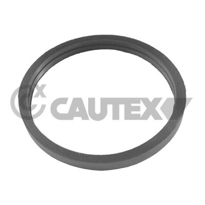 Guarnizione, termostato CAUTEX/FACET 955241