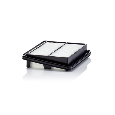 Filtro aria MANN-FILTER C 22 060