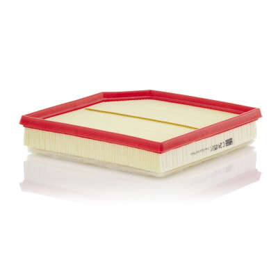 Filtro aria MANN-FILTER C 24 051/1