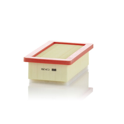 Filtro aria MANN-FILTER C 24 250