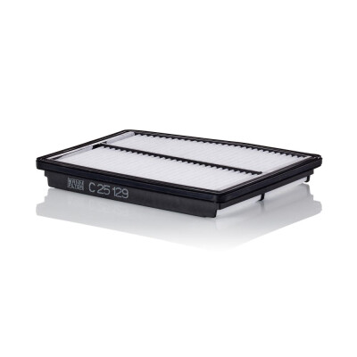 Filtro aria MANN-FILTER C 25 129