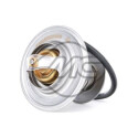 Termostato, refrigerante METALCAUCHO 31303