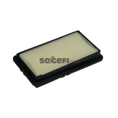Filtro aria PURFLUX A1006