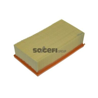Filtro aria PURFLUX A1039