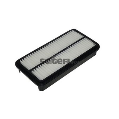 Filtro aria PURFLUX A1118
