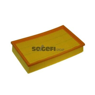 Filtro aria PURFLUX A1124