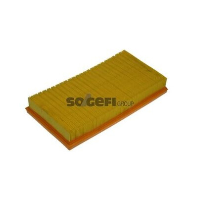 Filtro aria PURFLUX A1152