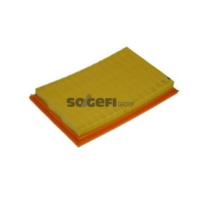 Filtro aria PURFLUX A1156