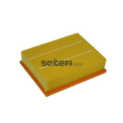 Filtro aria PURFLUX A1165